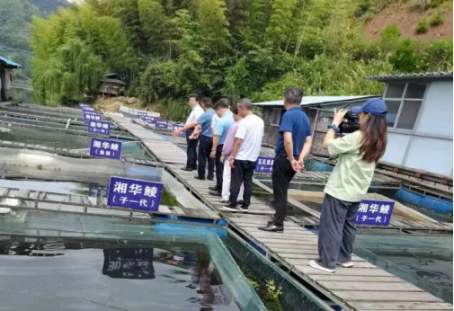長(cháng)沙拜特生物科技研究所有限公司,動(dòng)物用注射藥,長(cháng)沙動(dòng)物用口服液,拜特水產(chǎn)藥,微生態(tài)制劑,動(dòng)物用粉散劑,拜特生物科技